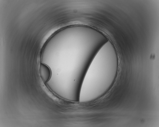 X0000111170796200907011007