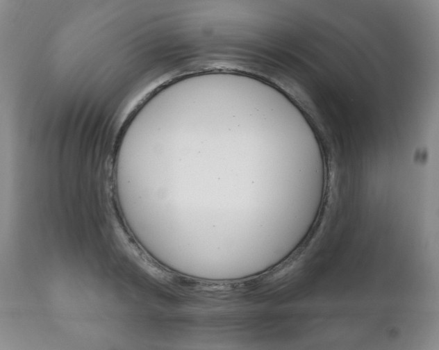 X0000111170798200907011007