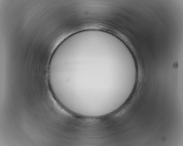 X0000111170802200907011006