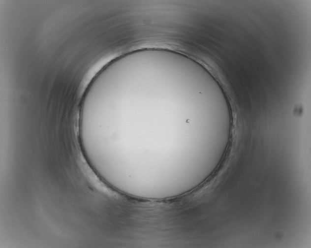 X0000111170804200907011006