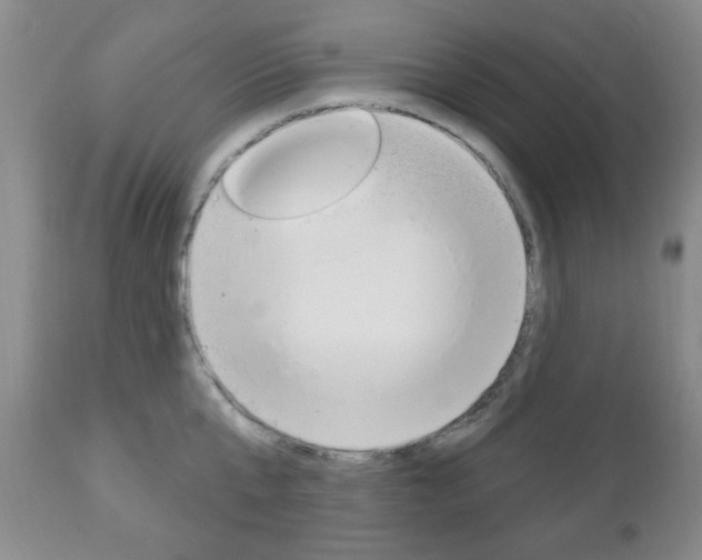 X0000111170807200907011006