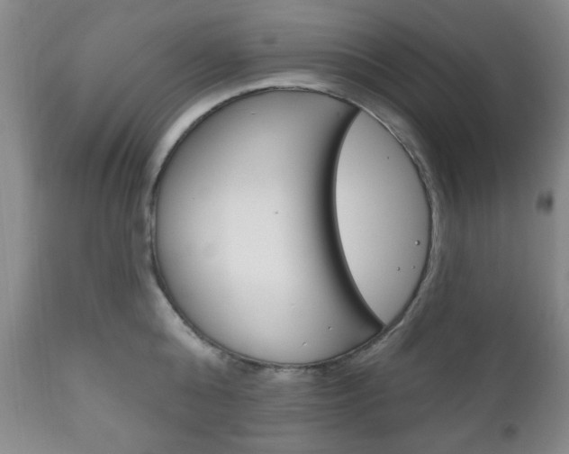 X0000111170808200907011006
