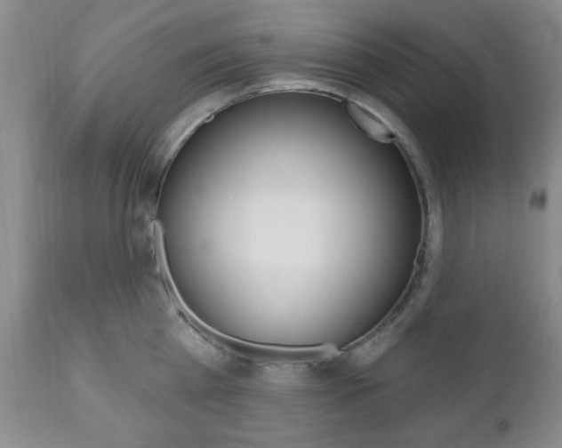 X0000111170809200907011006