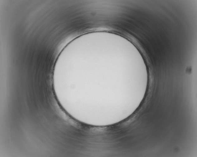 X0000111170810200907011006