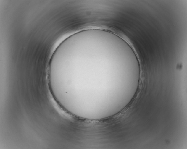 X0000111170811200907011006