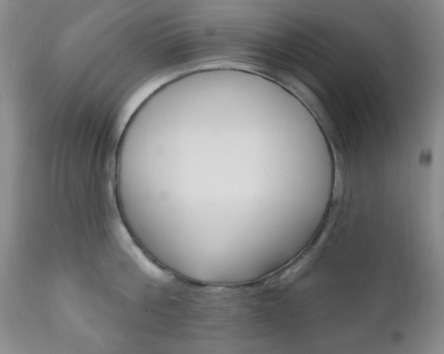X0000111170812200907011006