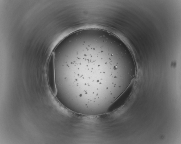 X0000111170813200907011006