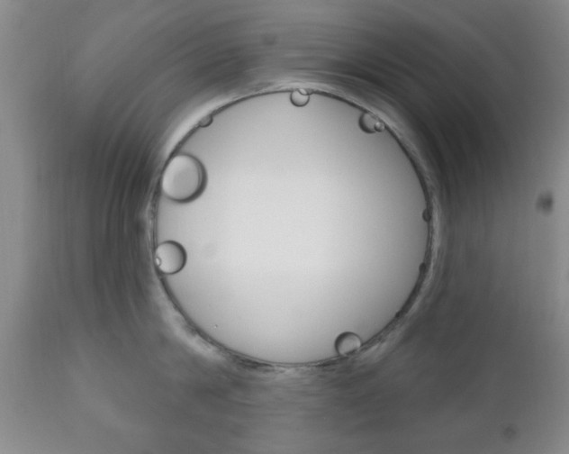 X0000111170814200907011006