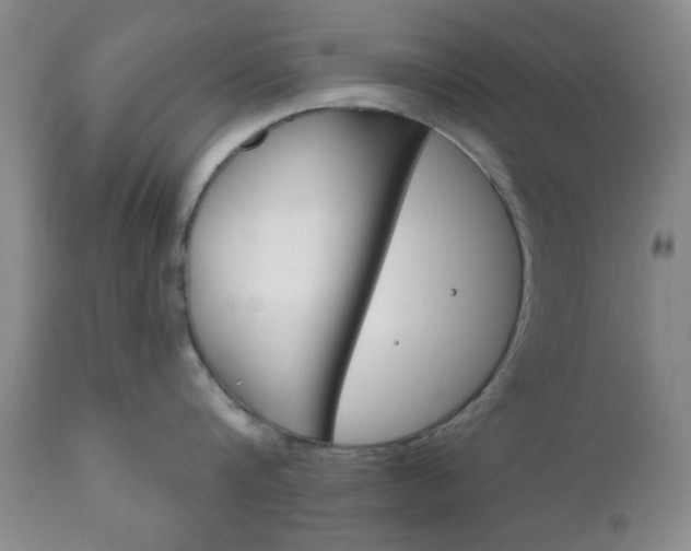 X0000111170816200907011006
