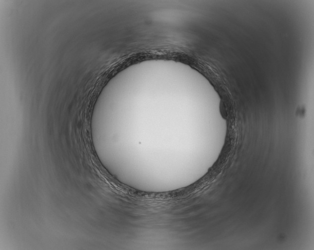 X0000111170817200907011006