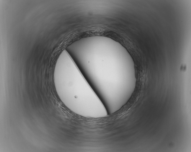 X0000111170818200907011006