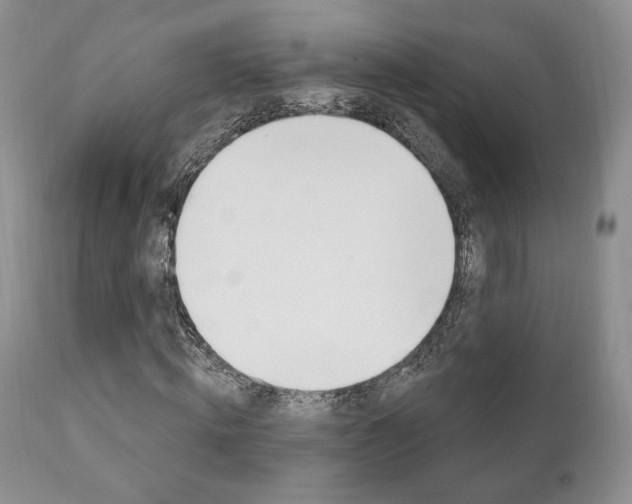 X0000111170820200907011006