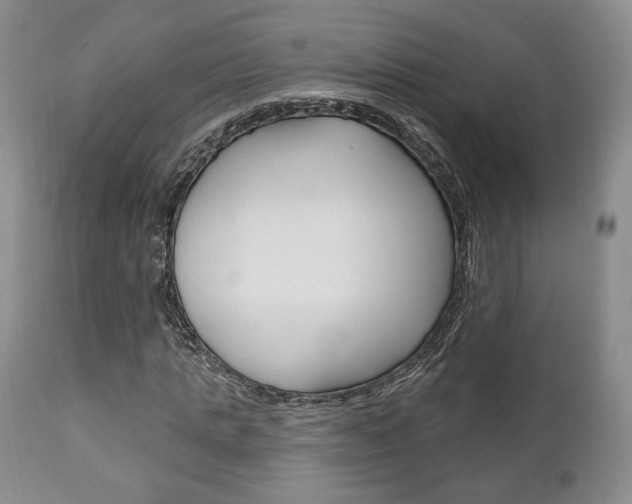X0000111170821200907011006