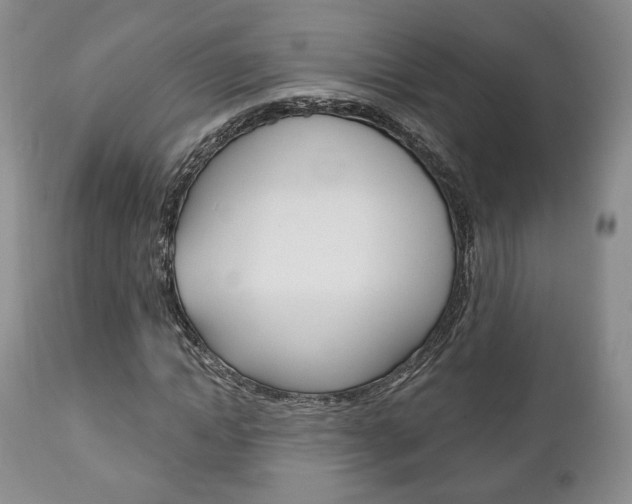 X0000111170822200907011006