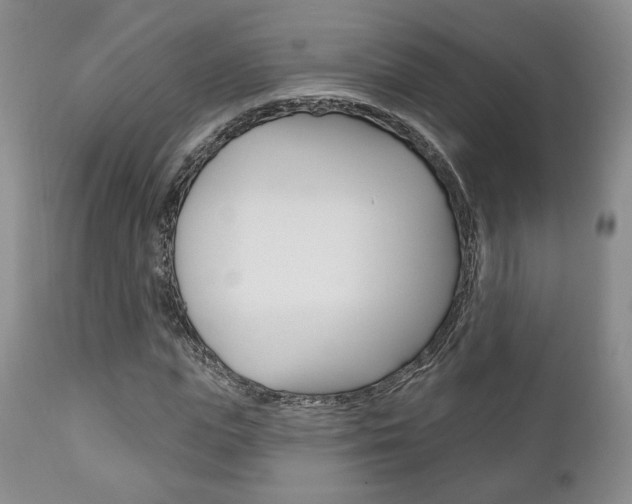 X0000111170823200907011006