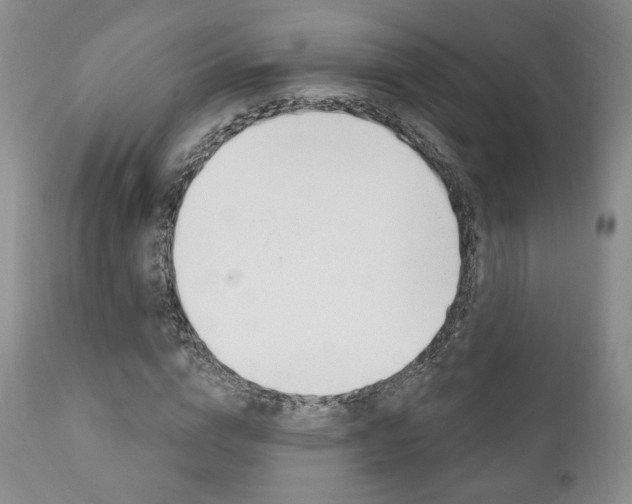 X0000111170824200907011006