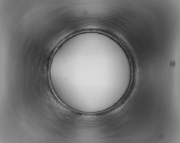 X0000111170825200907011006