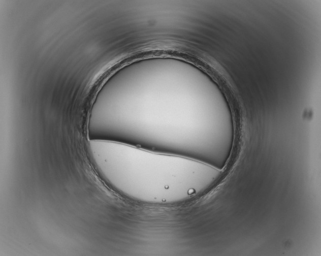 X0000111170826200907011006
