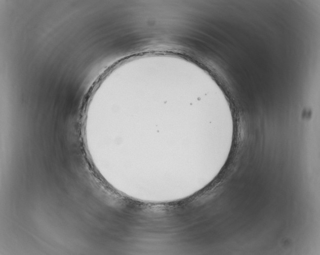 X0000111170828200907011006