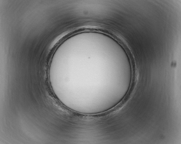 X0000111170829200907011006