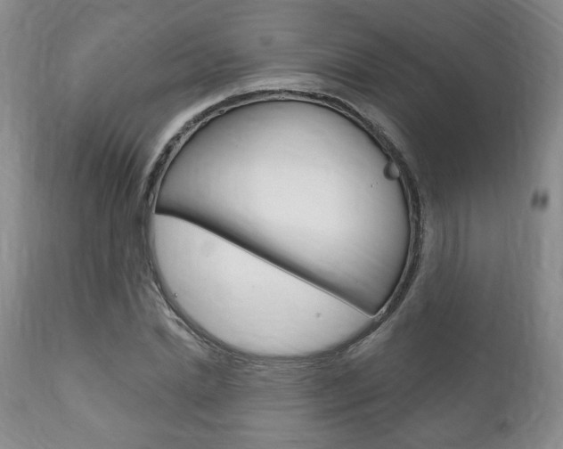 X0000111170830200907011006