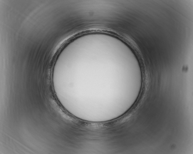X0000111170831200907011006