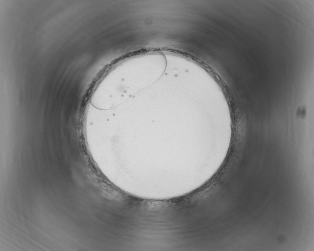 X0000111170832200907011006