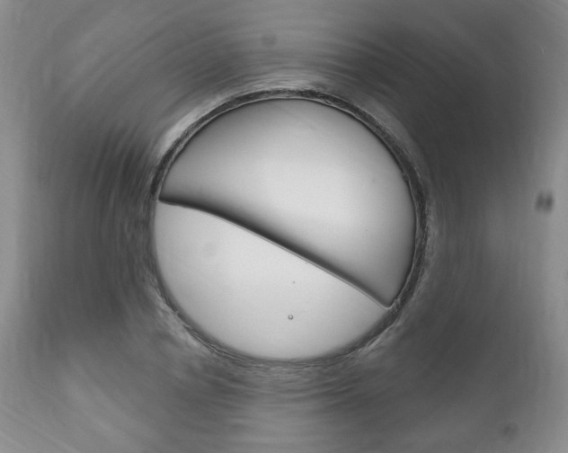 X0000111170834200907011006