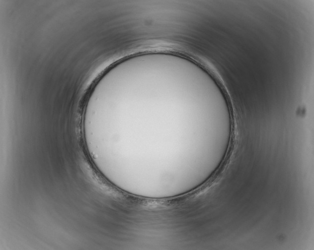 X0000111170835200907011006