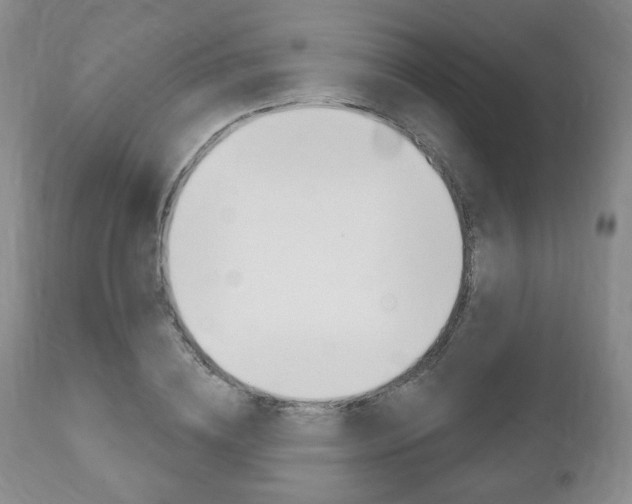X0000111170836200907011006