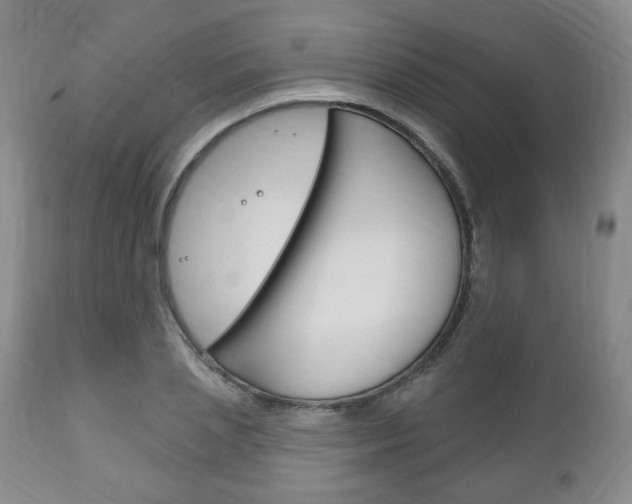 X0000111170837200907011006