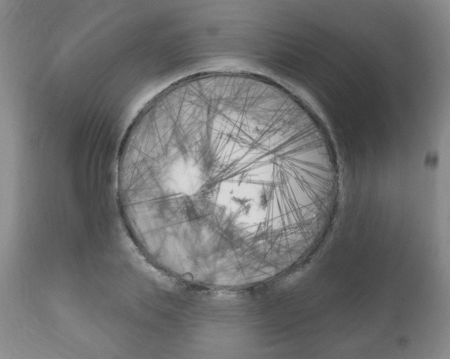 X0000111170839200907011006