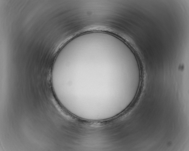 X0000111170841200907011006