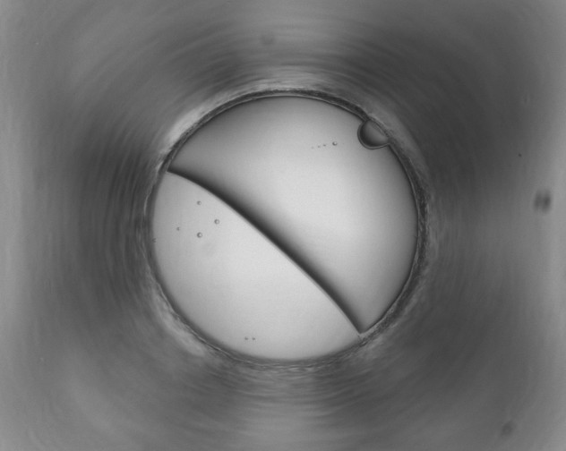 X0000111170842200907011006