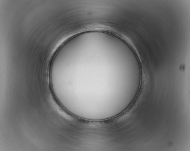 X0000111170843200907011006
