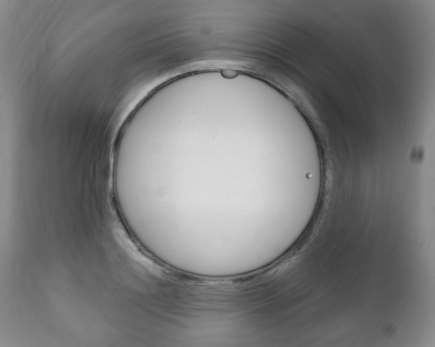 X0000111170844200907011006