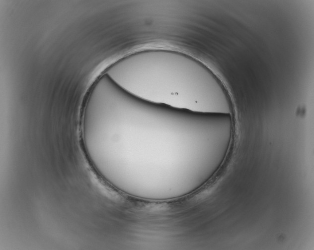 X0000111170845200907011006