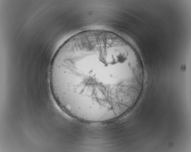 X0000111170847200907011006