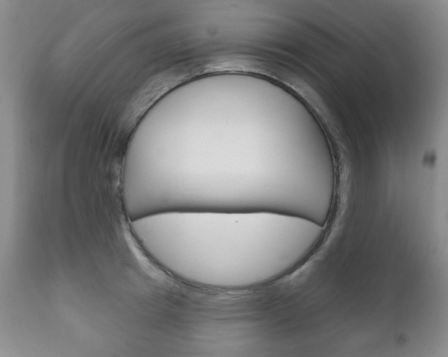 X0000111170849200907011006