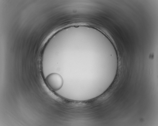 X0000111170851200907011006