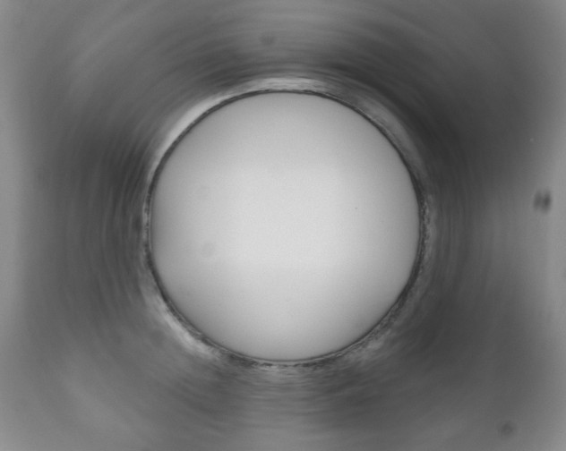 X0000111170852200907011006