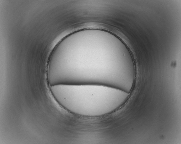 X0000111170853200907011006