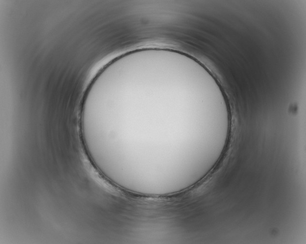 X0000111170854200907011006