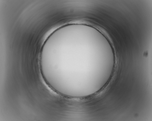 X0000111170855200907011006