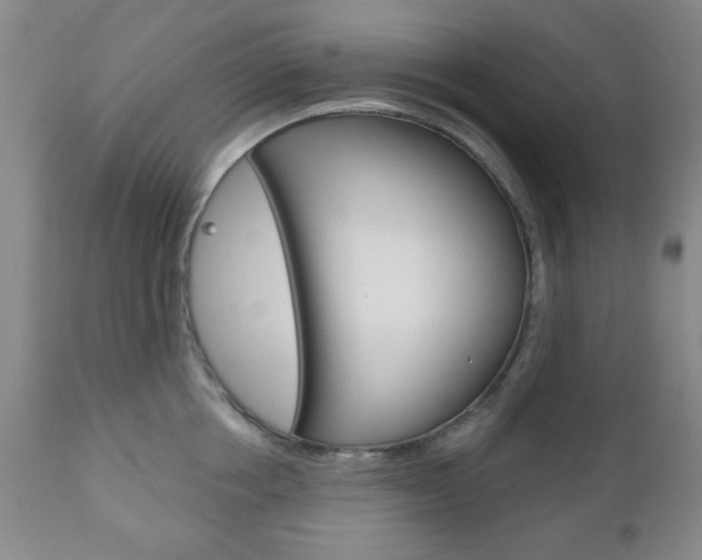 X0000111170858200907011006