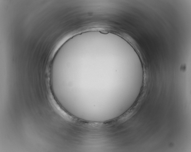 X0000111170859200907011006
