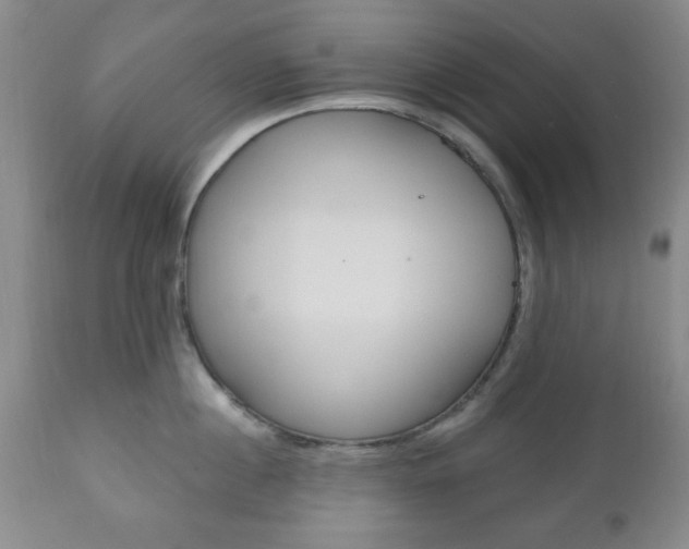 X0000111170860200907011006