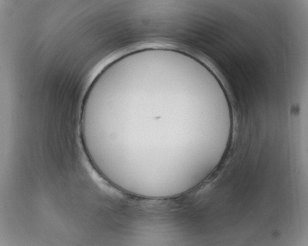 X0000111170861200907011006