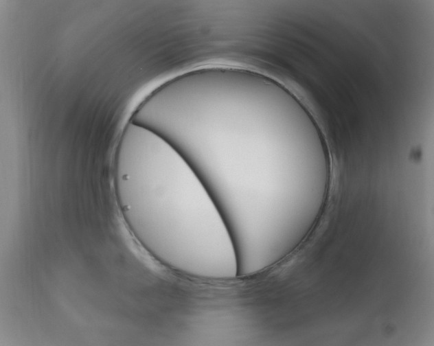 X0000111170862200907011006