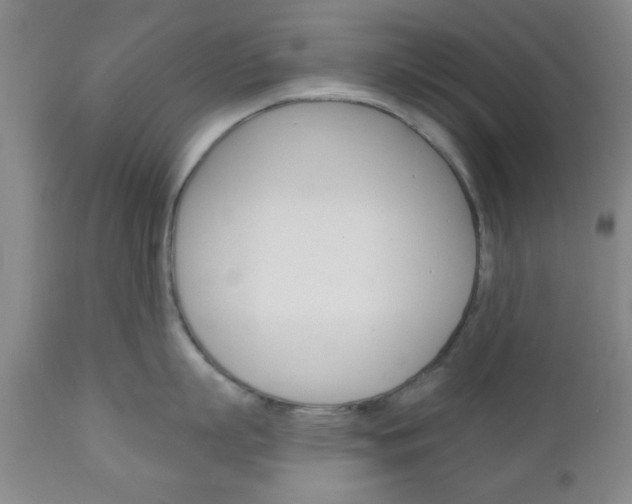 X0000111170863200907011006
